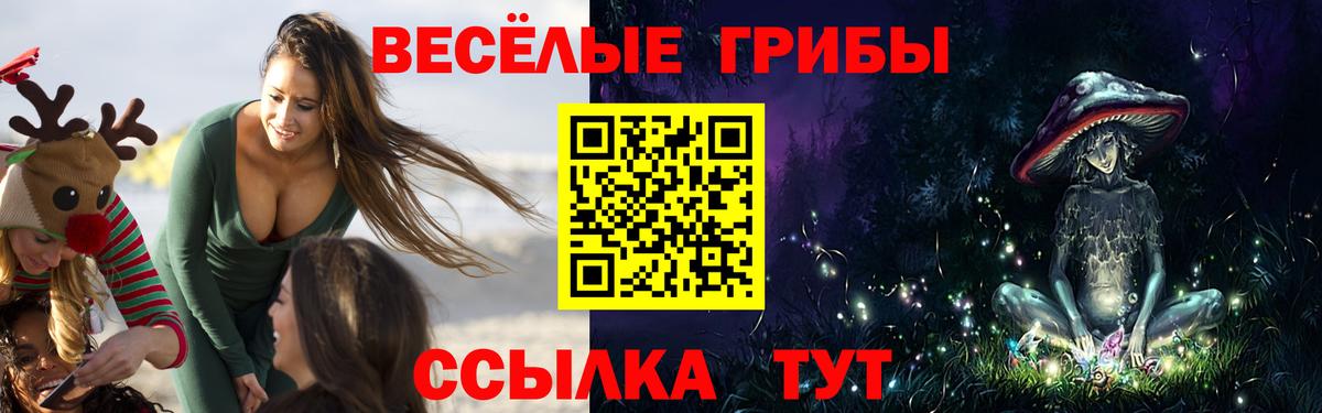 продажа наркотиков  Галлюциногенные грибы ЛСД  Сарапул  Псилоцибиновые грибы Magic Shrooms 