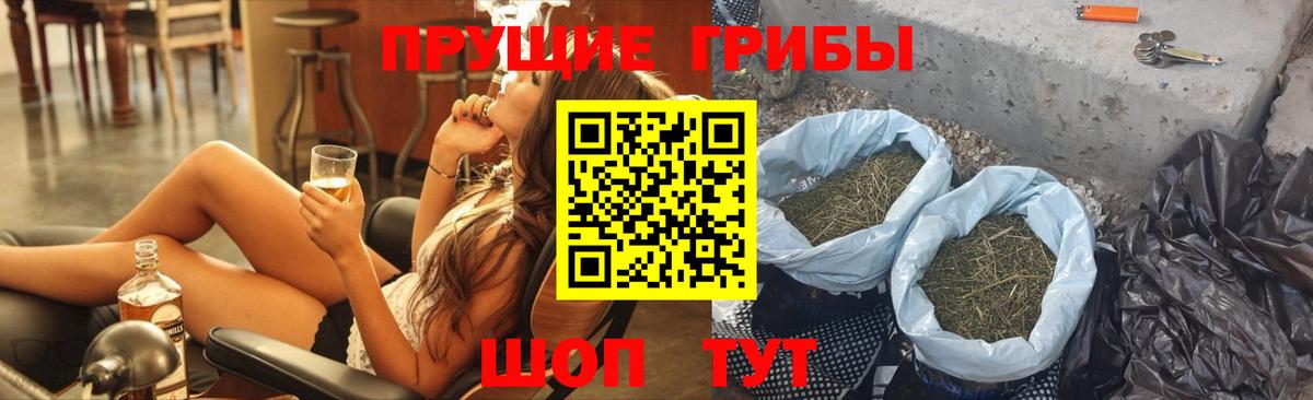 Сарапул  Псилоцибиновые грибы GOLDEN TEACHER  Вход с VPN 